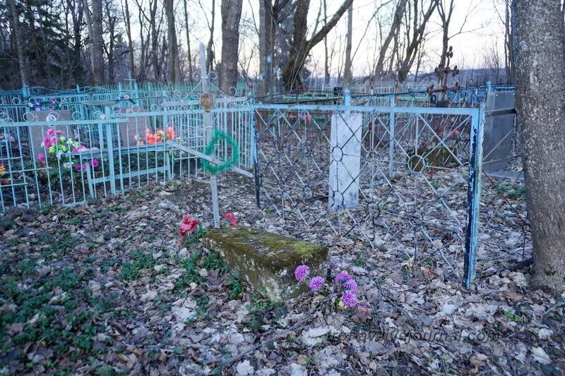Васильевское кладбище тольятти. Васильевское кладбище тольятти. Кладбище в рузе. Рузское кладбище. Старое автозаводское кладбище нижний новгород.