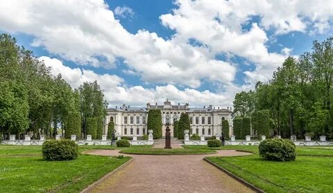 Мсха биология