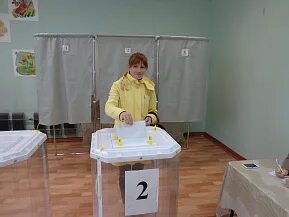 Выборы в республике марий эл