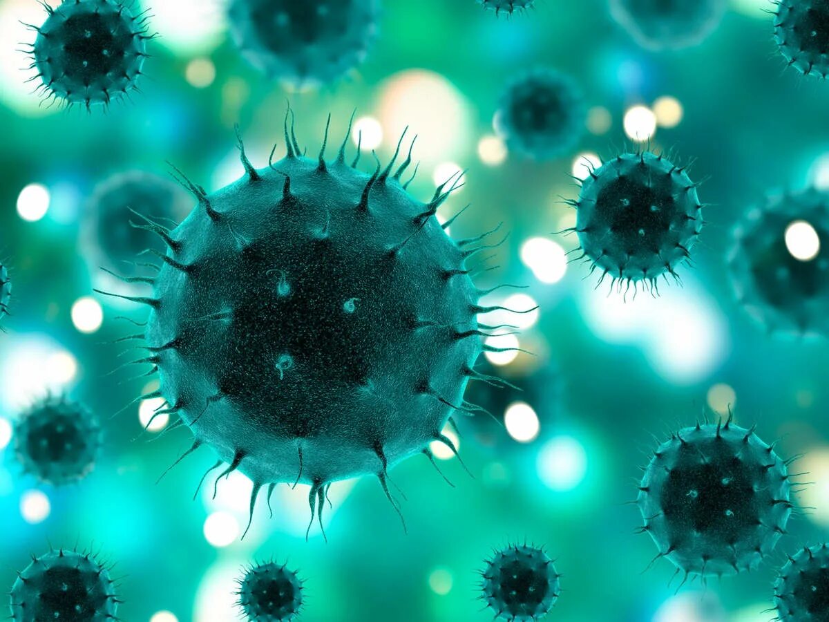 Www virus. Вирус коронавирус коронавирус. Красивые вирусы. Вирусы и бактерии. Вирусы фото.