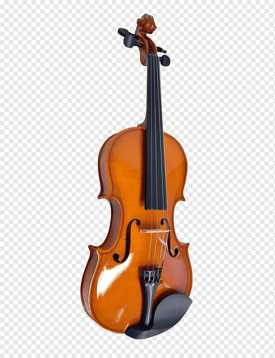 Violin bass. Виола бас. Скрипка. Скрипка и контрабас. Бас Альт скрипка.