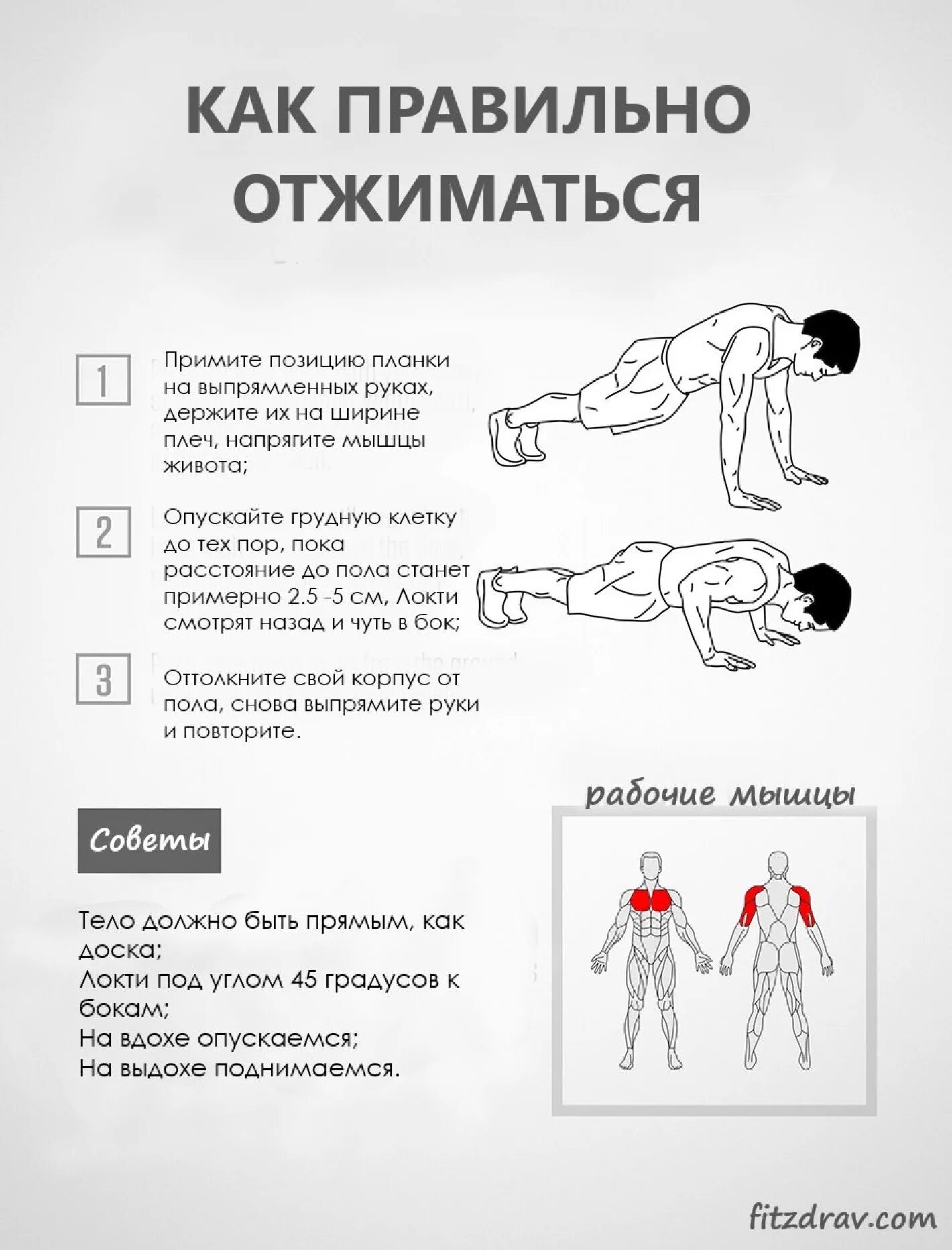 Как отжиматься правильно мужчинам. Отжимание от пола техника выполнения. Методика правильных отжиманий. Правильность выполнения отжимания от пола.