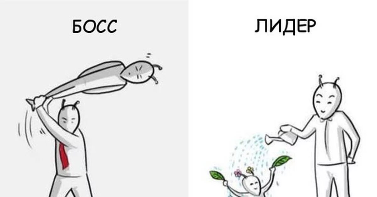 Лидера однако