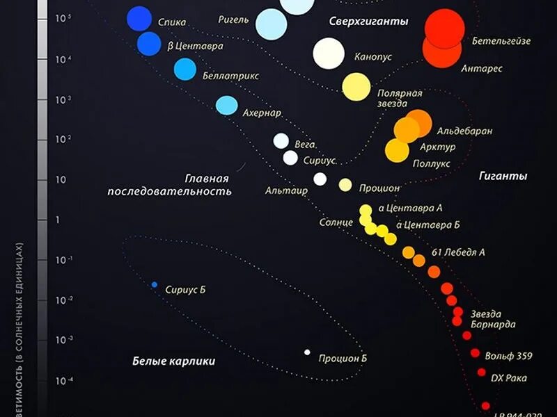 В какую группировку звезд входит солнце. Вега на диаграмме Герцшпрунга Рассела. Диаграмма Герцшпрунга Рассела температура светимость. Звезды классификация звезд. Классификация звёзд по размеру.