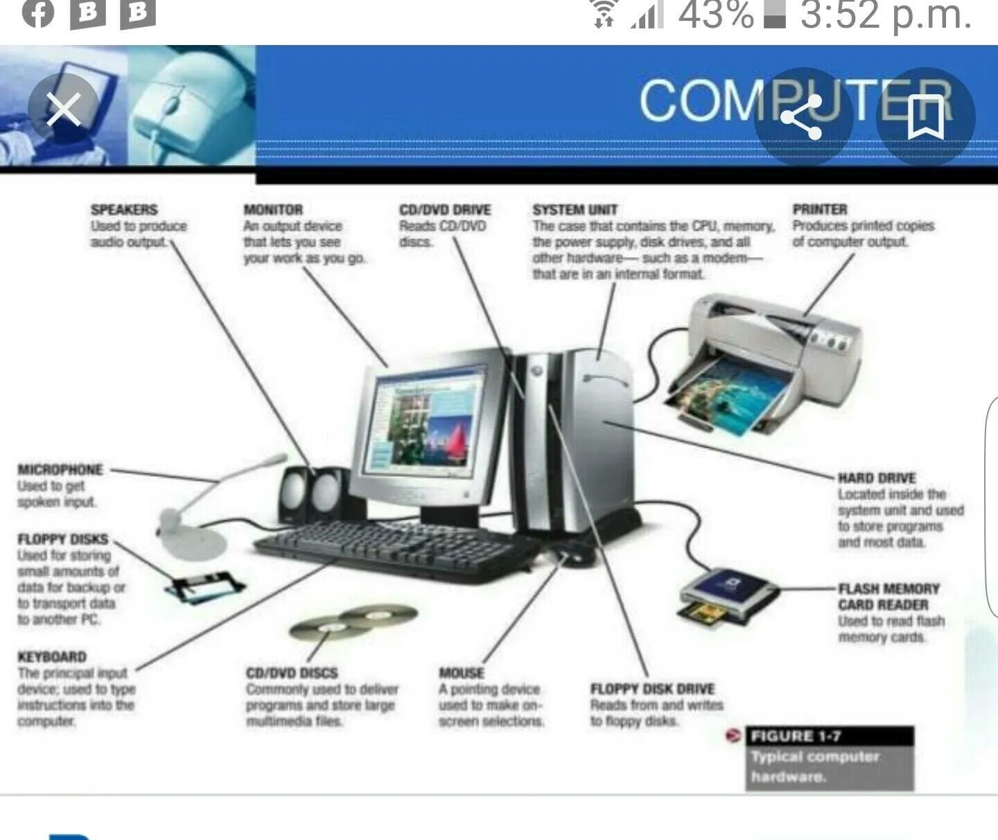 Basic Parts of Computer. Система компьютера. Basic Parts of a Computer System. Computers Parts на английском. The device operates