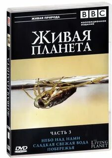 Bbc живая природа лучшее