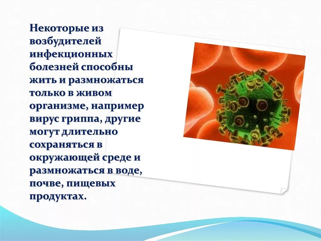 Возбудители заболеваний. Возбудители инфекционных заболеваний. Возбудителями инфекционных заболеваний являются. Возбудители заболеваний в воде. Возбудители инфекционных заболеваний это