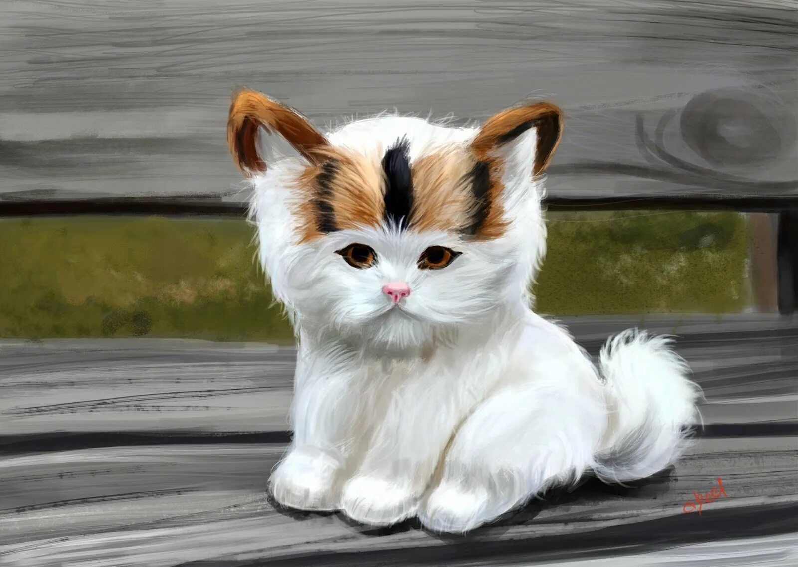 Дайте картинок кошек