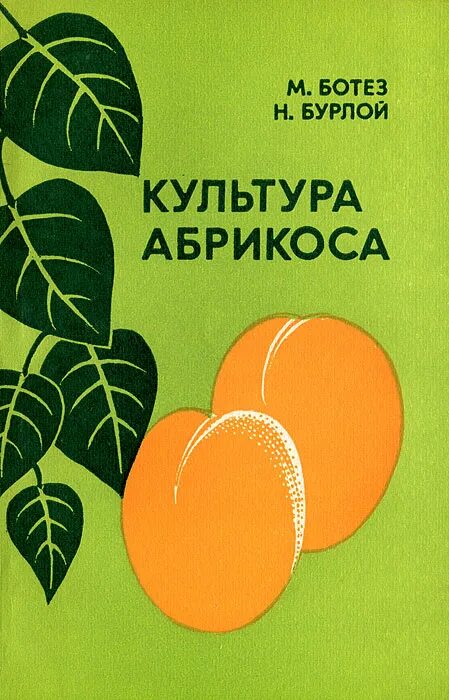 Абрикос в подмосковье. Книга и абрикос. Книга и абрикос. Абрикос книги. Абрикос культурный.
