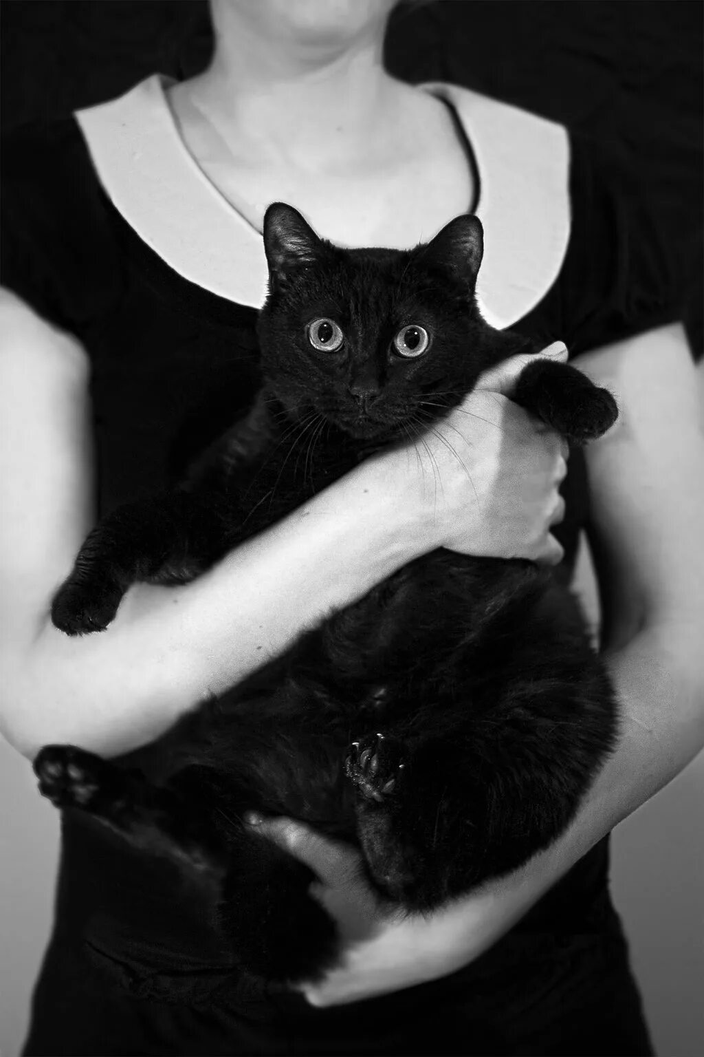 Черный кот и девочка. Девушка с котом. Кот на ручках. Черная кошка на руках. Чёрный кот.