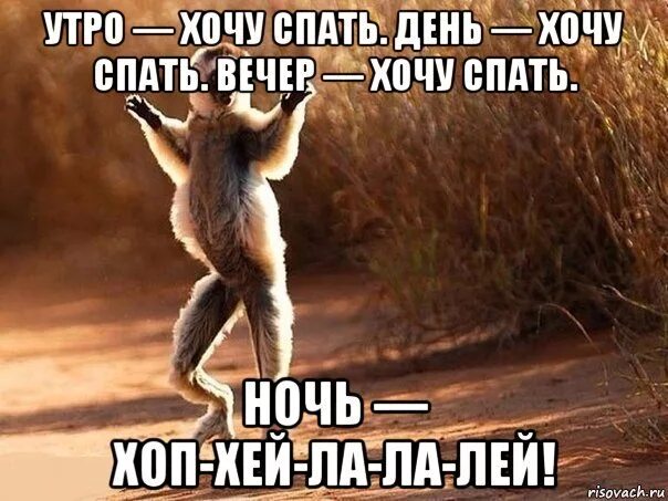 Хочу спать. Картинки когда хочется спать. Spat xochetsya. Когда хочешь спать. Ни днем ни ночью песня