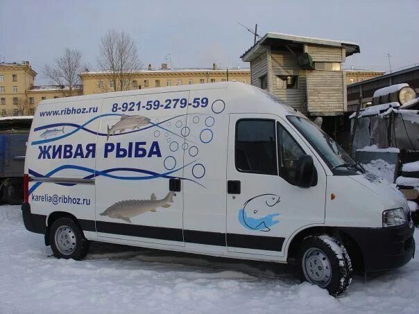 Продается живая рыба. Живая рыба в магазине. Лавка Живая рыба. Автомобиль для торговли живой рыбой. Магазин живой рыбы в Москве.