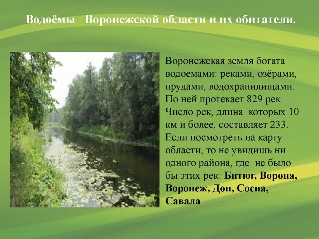 водоемы моего края. реки родники и озера удмуртии презентация. сообщение водоемы и реки родного края. озеро шайтан кировской области легенда. водоемы нашего края презентация.