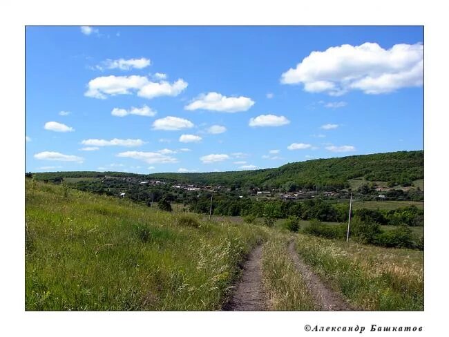 Село буерак. Буркин Буерак Саратов. Буркинский лес Саратов. Село Буркино Саратовская область. Буркино Саратовская область достопримечательности.