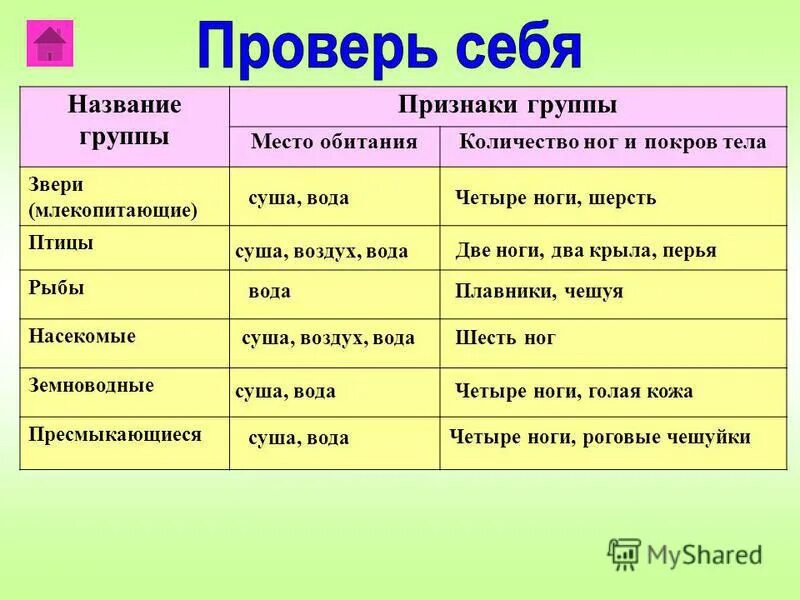 Приведите примеры животных каждой группы. Группы животных таблица. Разнообразие животных таблица. Признаки классов животных. Характеристика групп животных.