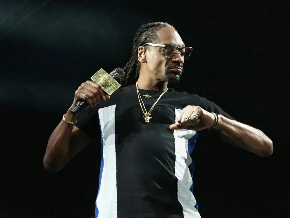 Snoop dogg wow wow. Snoop dogg. снуп дог. снуп.