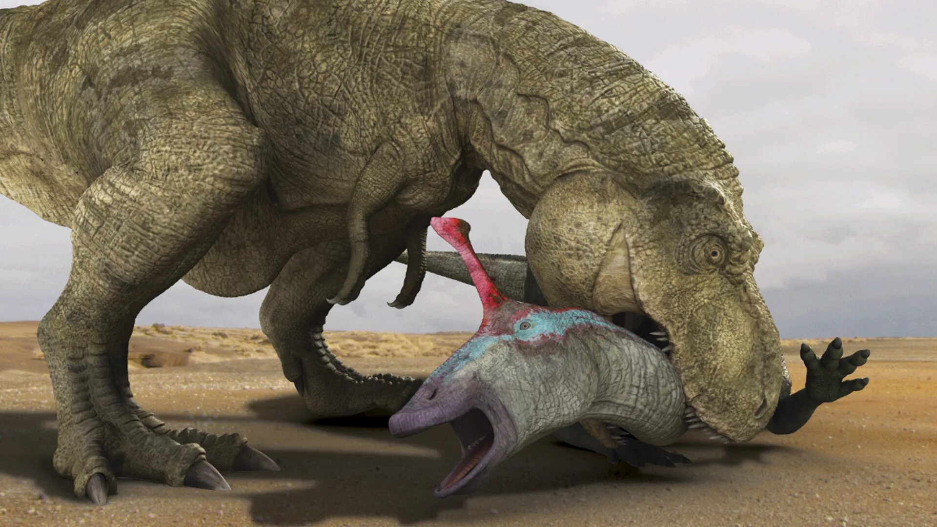 Тарбозавр рекс. Тарбозавр и Трицератопс. Планета динозавров Тарбозавр. Тарбозавр и Тираннозавр.