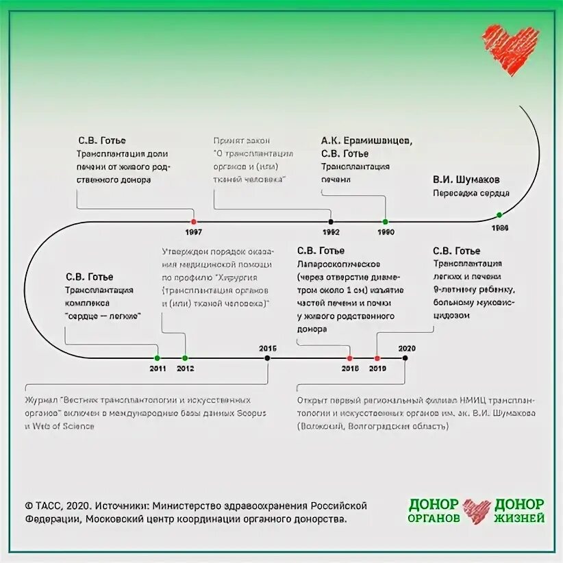 Донор органов донор жизни