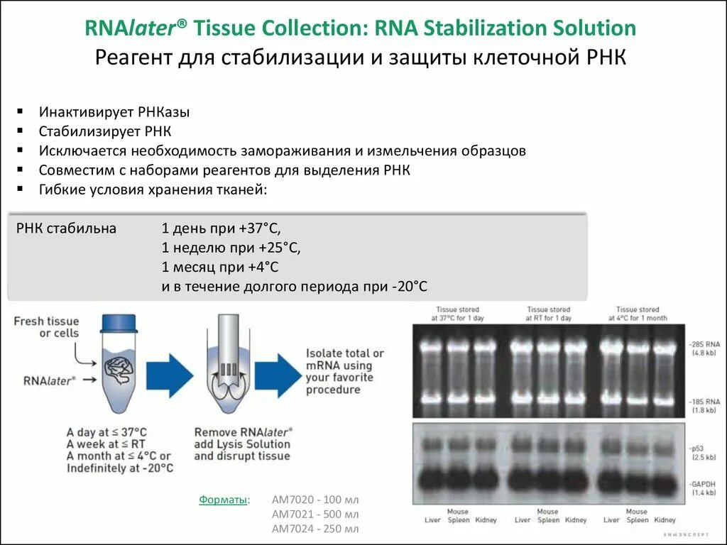 Автоматический анализатор ПЦР выделение РНК. Выделение РНК. RNA seq принцип. Устройство пробоподготовки для выделения РНК вируса.