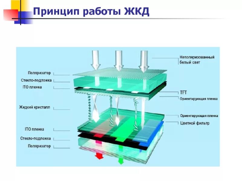 Принцип работы жк. Принцип действия LCD мониторов. Принцип действия жидкокристаллического монитора. Строение LCD жидкокристаллического монитора. Конструкция ЖК дисплея.