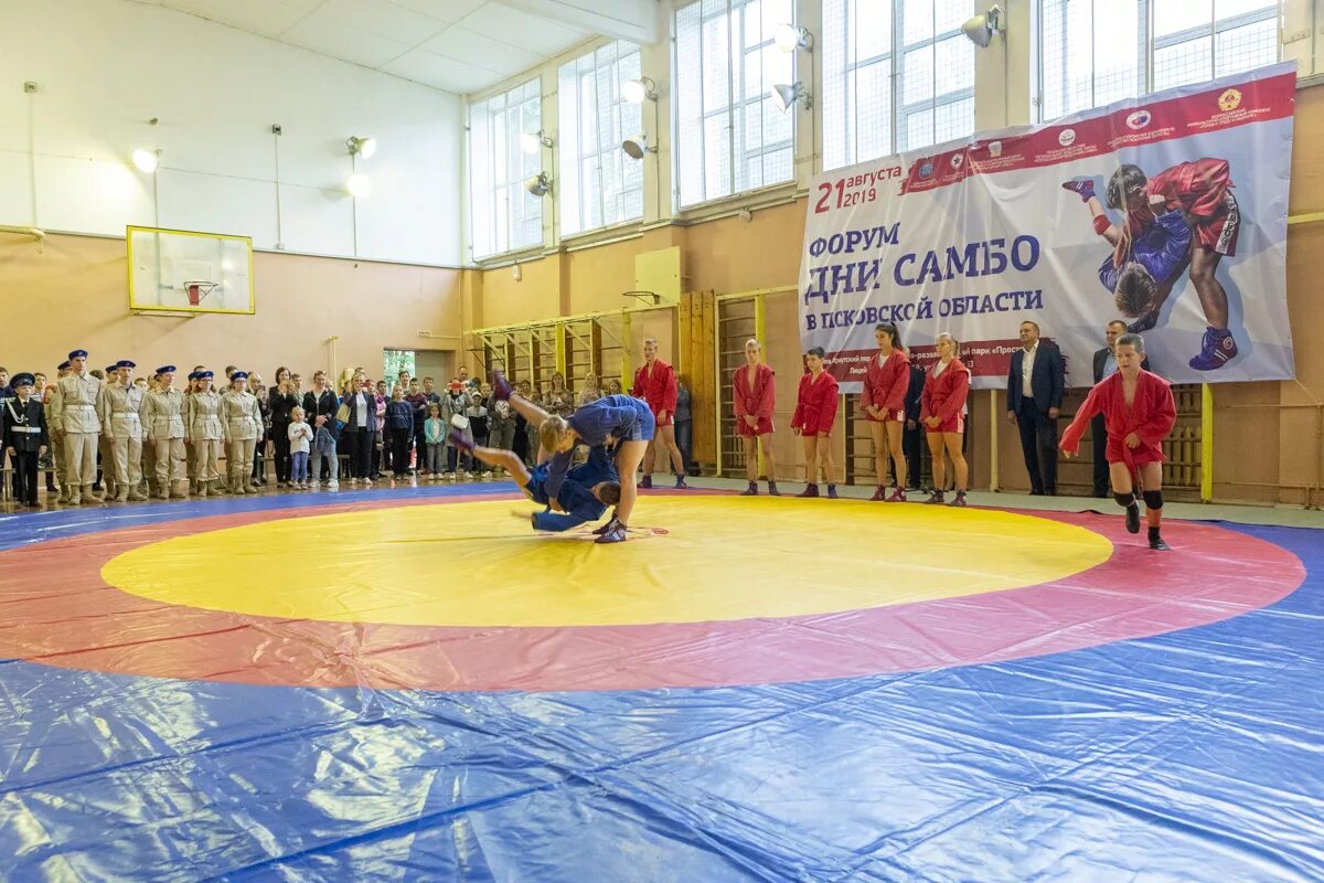 Самбо псков. Чемпионат пскова самбо. Олимп псков самбо. Олимп псков самбо. Самбо псков.