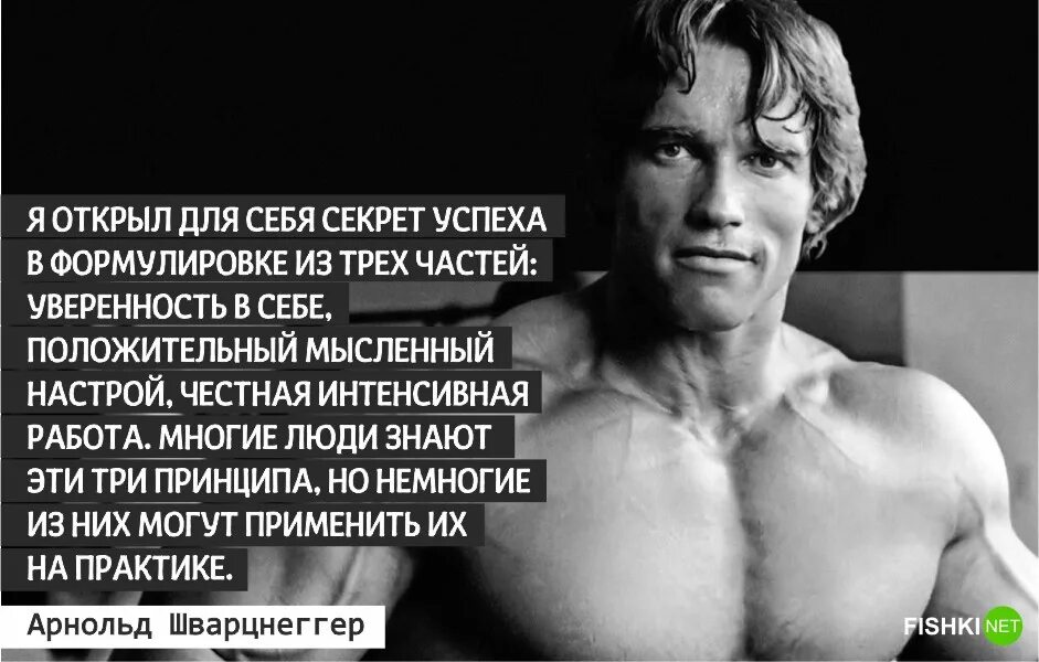 Шварценеггер семь правил жизни