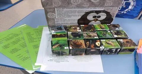 Проведена экологическая игра