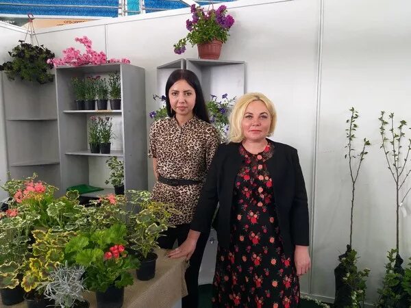 Курский питомник. Курская область питомник курские корни. питомник курск октябрьский район. питомник в курской области.
