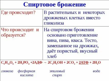 Этапы энергетического обмена происходящие процессы