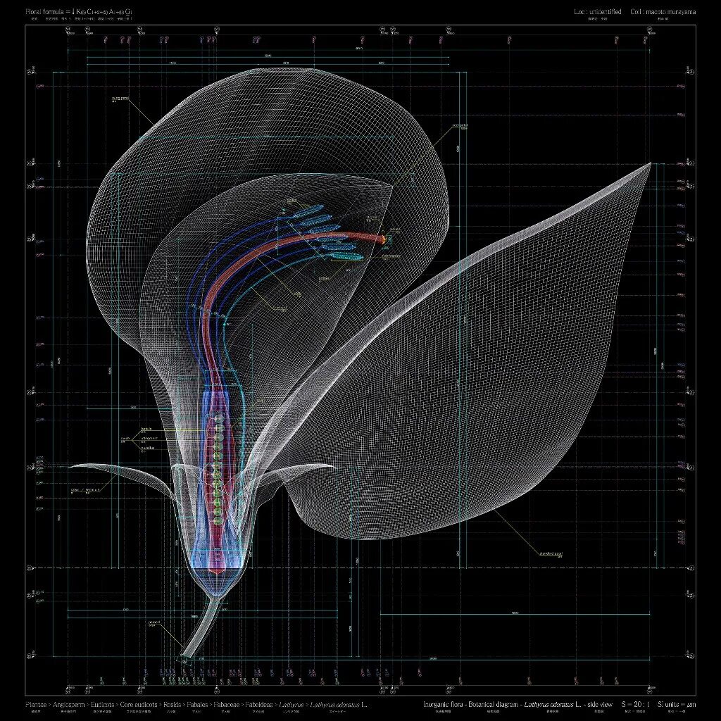 Научные графики. Научная компьютерная Графика. Образцы научной графики. Научная Графика примеры.