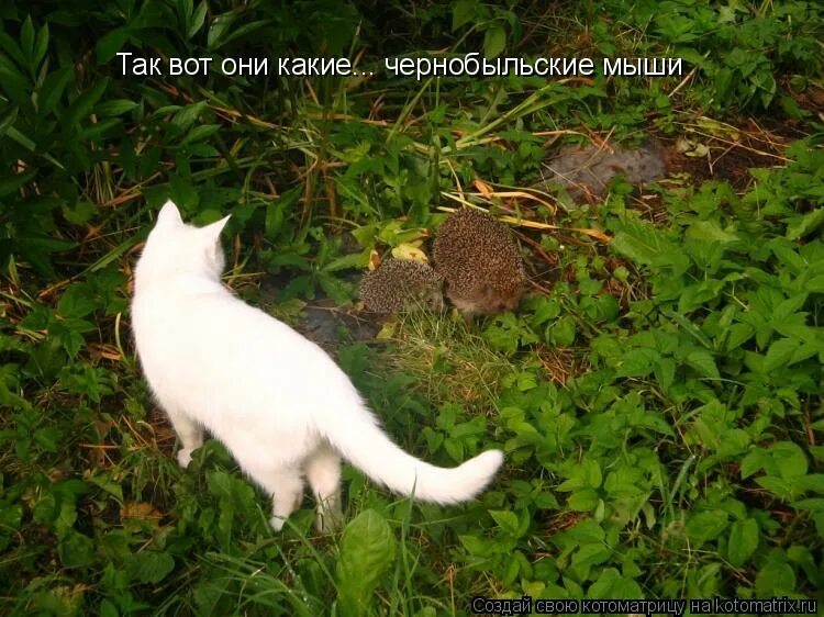 ты обжигаешь меня обжигай меня