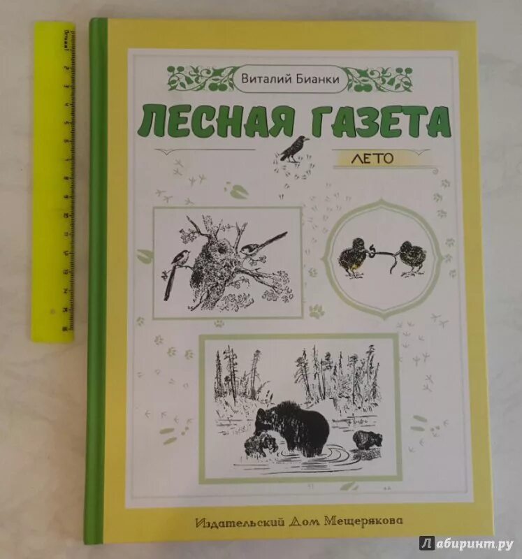 Лесная газета виталия валентиновича бианки. Лесная газета виталий бианки книга содержание. В. Лесная газета 1928 год бианки. Книга виталий бианки лесная газета текст.