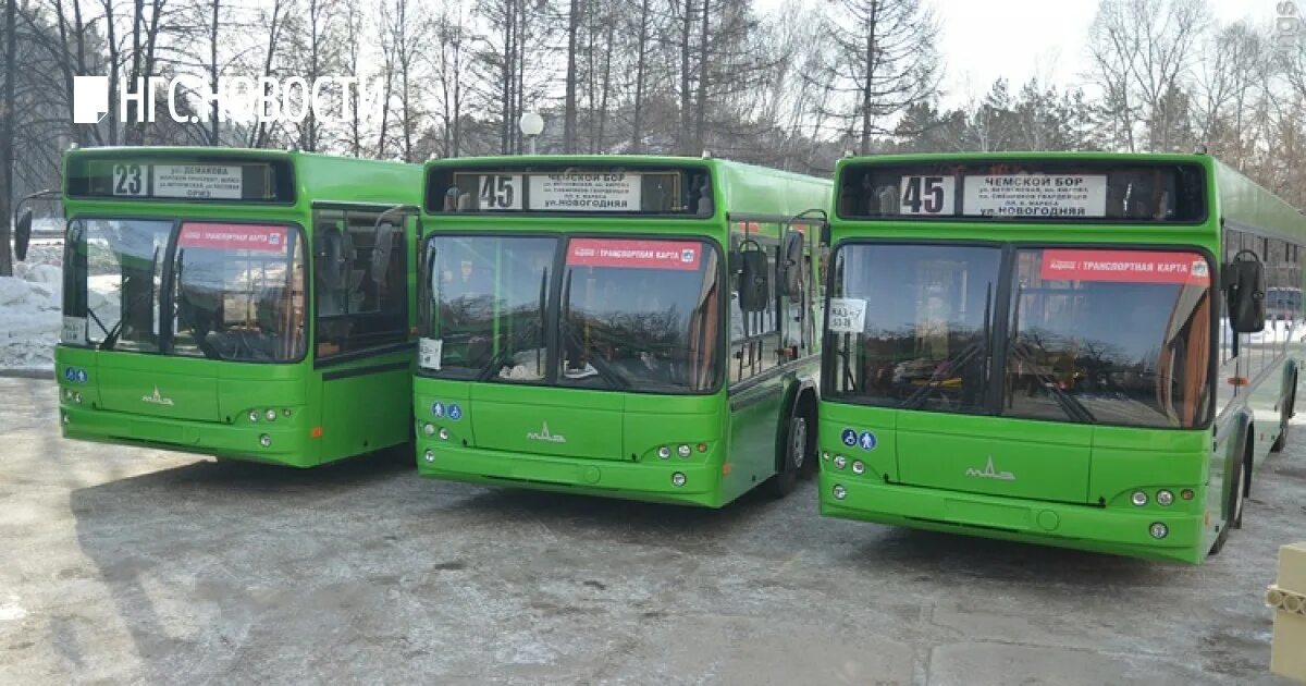 Новосибирск автобус ру. Автобус МАЗ Новосибирск. МАЗ 104 Новосибирск. Автобус 4 Новосибирск МАЗ. Новые автобусы Новосибирск.