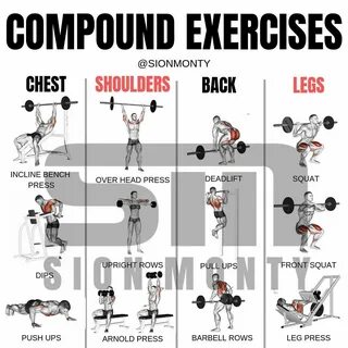 🏋 🏻 Compound vs 💪 🏻 Isolation Exercises by @sionmonty (Swipe Left) - ▪ ...