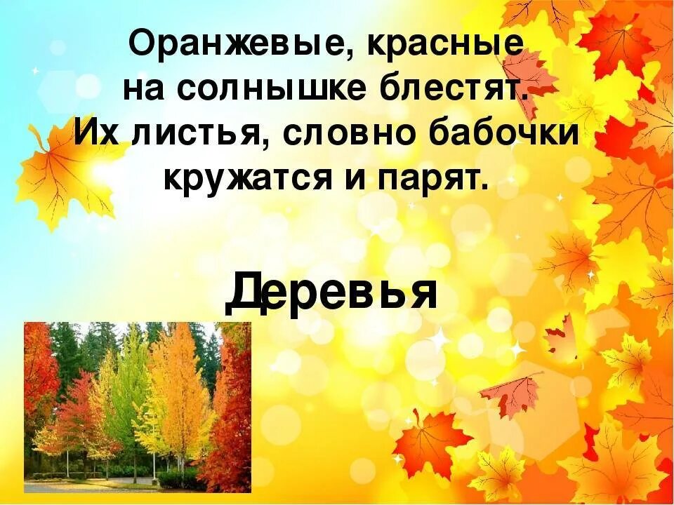 Загадки про осень. Загадки про осень для детей. Загадка про осеннее дерево. Загадка про осенний лес. Словно листья текст