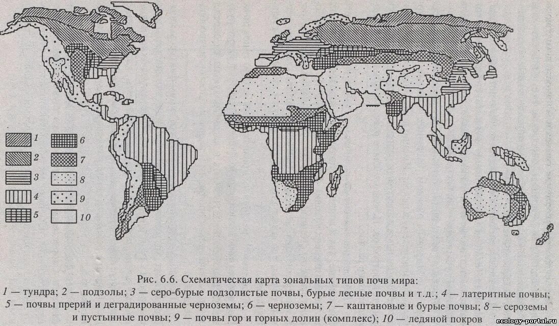 Ареалы почв. Типы почв на карте. Ареалы почв. Ареалы почв. Контурная карта мира природные зоны мира.