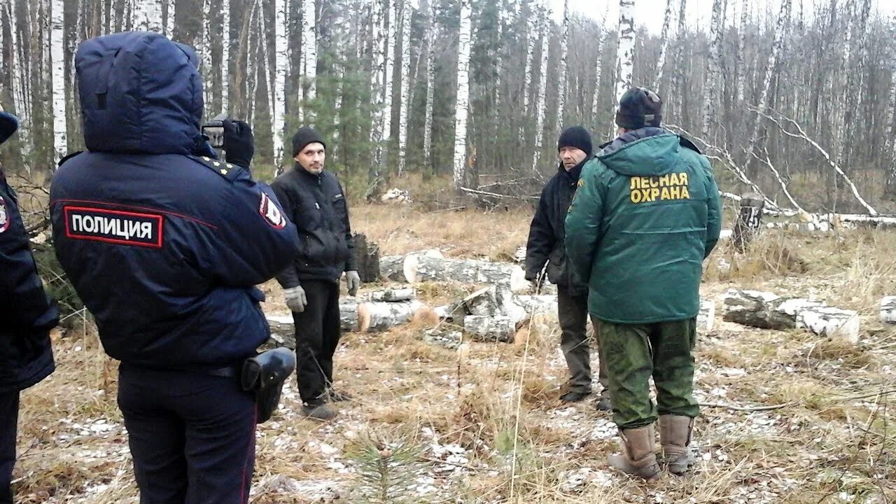 Эпидемия лесник
