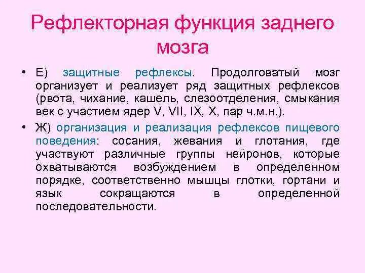 Задний мозг строение и функции кратко. Рефлекторная функция заднего мозга. Функции заднего мозга кратко. Функции заднего мозга физиология.