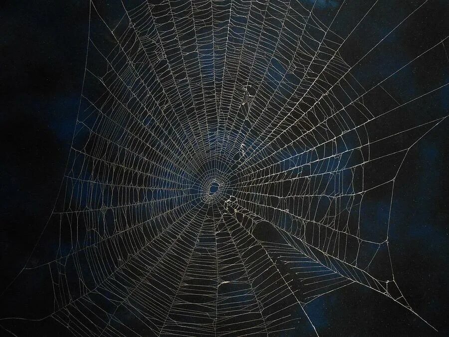 паутина брудмазеер. паутина персонажи. паутина арт. человек паук герой паук паутина. паук на паутинке.