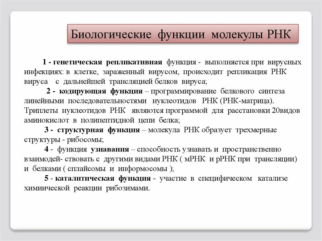 Какие функции выполняет рнк. Биологическая роль и структура РНК. Биологическая роль РНК. Биологическая рольрнгк. Биологические функции РНК.