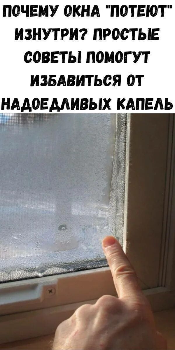 Сильно потею зимой. Во что одеться чтобы не замерзнуть. Почему стали потеть пластиковые окна. Сильно потею зимой. Запотевшие стекла автомобиля.