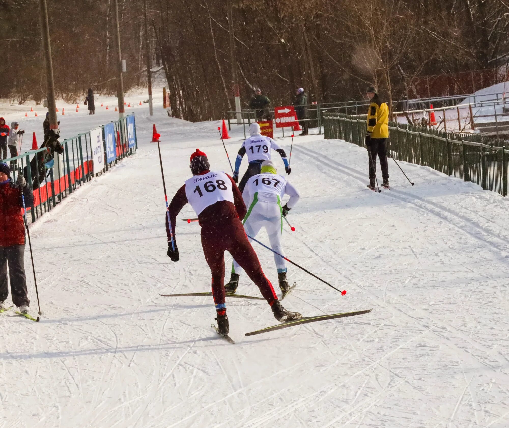 Спортивные лыжи. Соревнования по лыжам. Спорт лыжные гонки. Лыжные гонки Динамо.