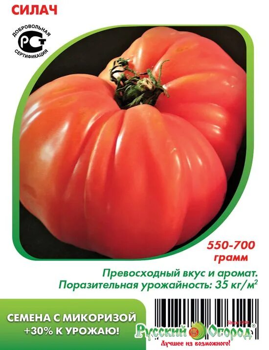 Томат силач. Томат Алтайский силач. Малиновый силач томат характеристика. Томат малиновый силач характеристика