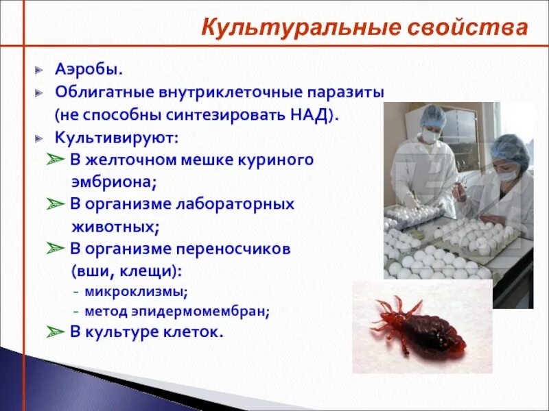 Не способен синтезировать