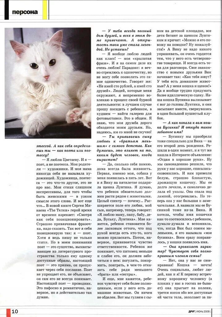 Как назвать белую кошку девочку. Имена для кошек. красивые имена для кошек девочек. очень красивые имена для кошек. как назвать кошку девочку.