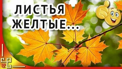 Листья желтые слова караоке