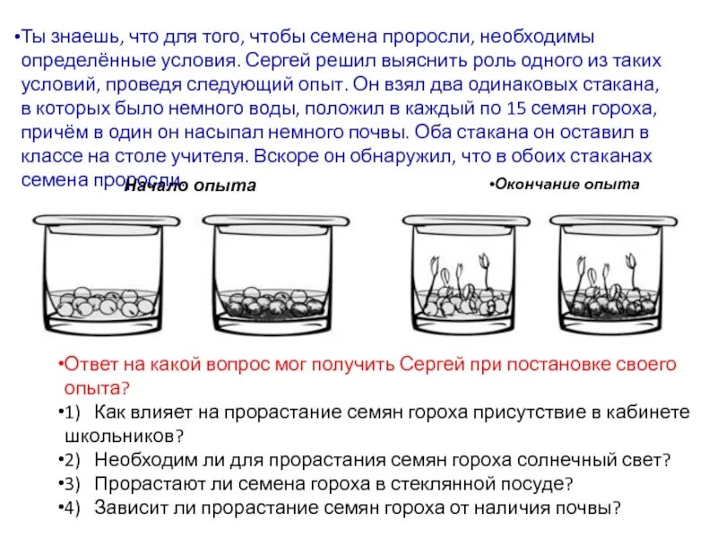 Опыт является. Влияние какого фактора на прорастание семян. условия прорастания семян схема. влияние почвы на прорастание семян. опыт по определению условий для прорастания семян.