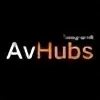 Avhub