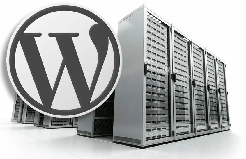 Hosting 16. Хостинг WORDPRESS. Хостинг вордпресс. Профессиональные хостинги. Хостинги для cms WORDPRESS.