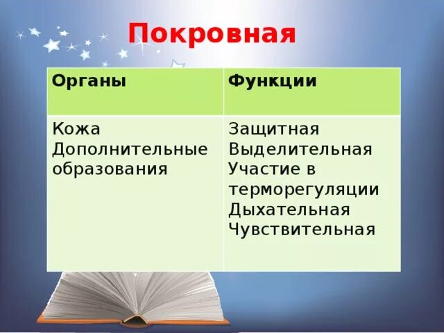 Система покровных органов человека функции. Покровная система органы и функции. Система покровных органов человека. Покровная система органы в системе и функции. Функции покровной системы человека.